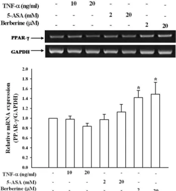 Fig. 6 − Involvement of NF- κ B but not PPAR- γ  on berberine- berberine-mediated adhesion of monocytes to HT29 cells.