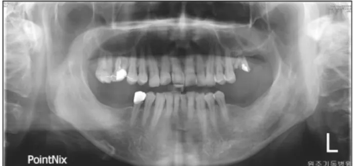 Fig. 1. Initial panoramic view.