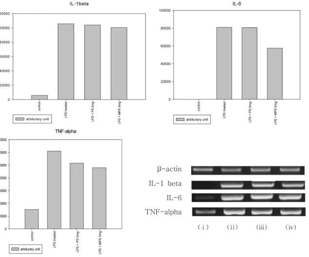 Fig. 5 − Comparison for genes expression ofpro-inflammatory cytokines by MPS and PS. 5×10 5  RAW264.7 cells were incubated with MPS or PS for 24 hr and then the gene expression of pro-inflammatory cytokines were measured by RT-PCR