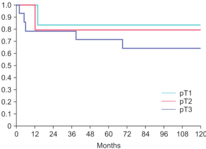 Fig. 1. The Kaplan-Meier cancer-specific survival in patients based on  various pathological tumour stages at 72 months were 83% in pT1,  79% in pT2, and 64% in pT3 disease (statistical significant between pT2  and pT3; p=0.038).012 24 36 48 60 72 84 96 10
