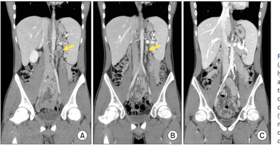Fig. 1. Computed tomography images. 