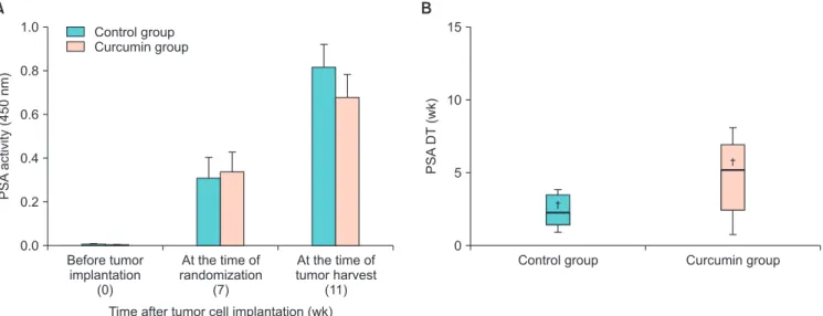 Fig. 2. Effect of curcumin on the expression of prostate-specific antigen (PSA). (A) PSA activity was determined by enzyme-linked immunosorbent  assay