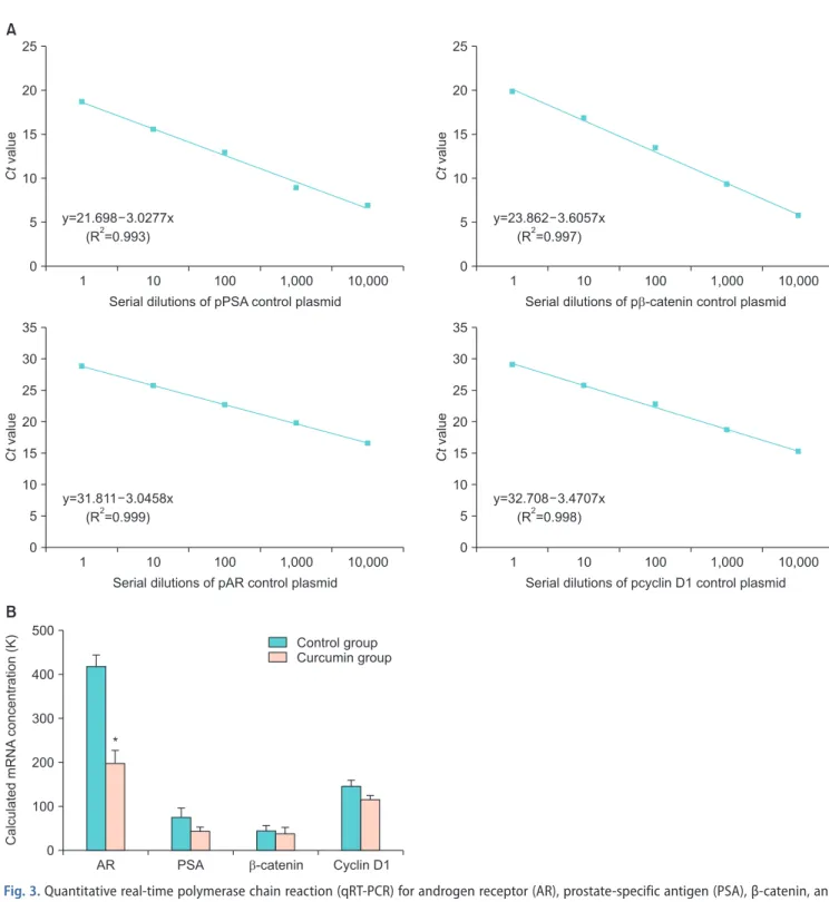 Fig. 3. Quantitative real-time polymerase chain reaction (qRT-PCR) for androgen receptor (AR), prostate-specific antigen (PSA), β-catenin, and  cyclin D1