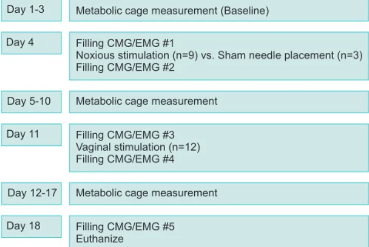 Fig. 1. Treatment timeline. CMG, cystometric; EMG, electromyographic.