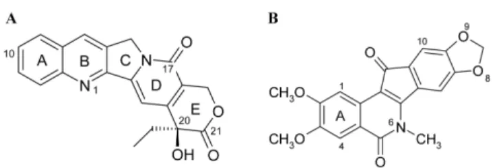 Fig. 1 − Structures of camptothecin (A) and indenoisoquinoline derivative, NSC 314622 (B).