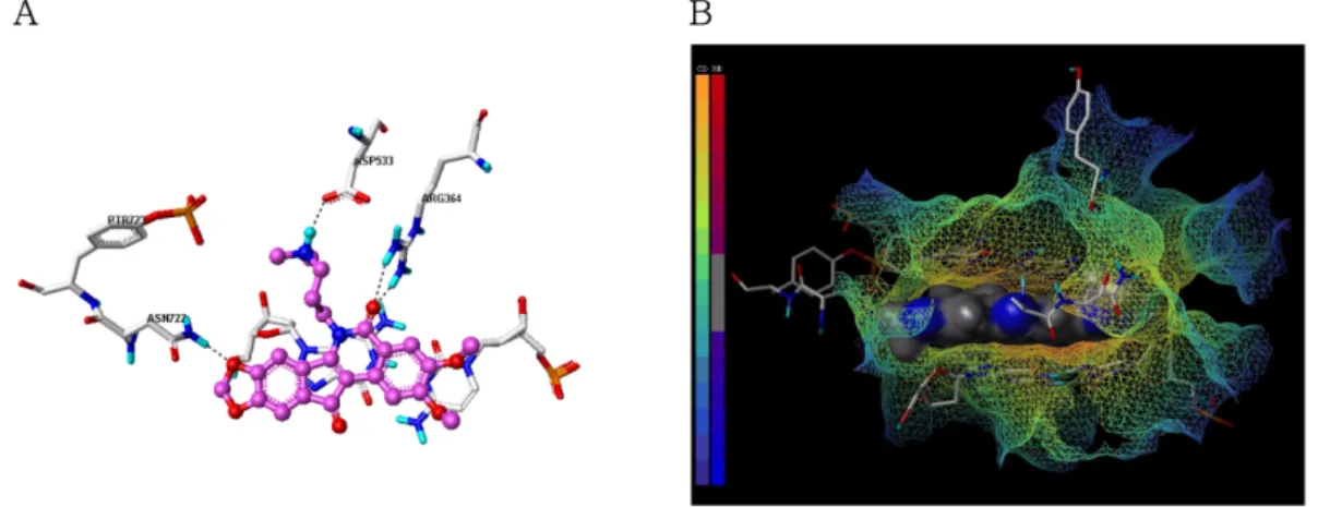 Fig. 4 − Docking result of compound 3 into human Topo I-DNA cleavable complex. A, binding interactions of compound 3 at the active site.