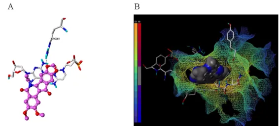 Fig. 5 − Docking result of compound 12 into human Topo I-DNA cleavable complex. A, binding interactions of compound 12 at the active site.