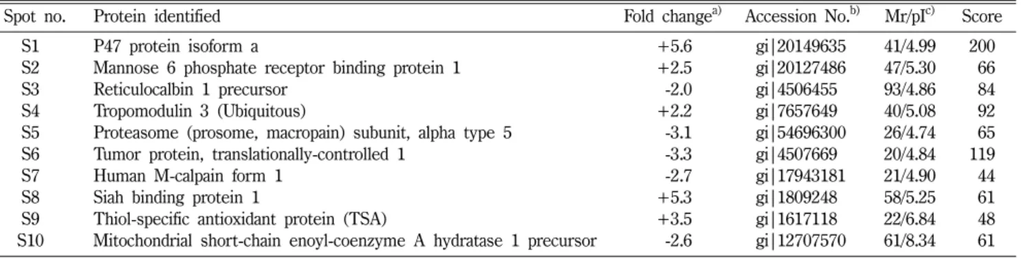 Table I − Identification of differentially expressed proteins in 70 µ M 5-FU treated cells