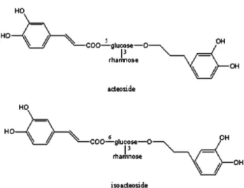 Fig. 1 − Structures of acteoside and isoacteoside isolated from Clerodendron trichotomum Thunberg .