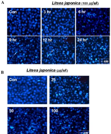 Fig. 5 − Western blot analyses of Bcl-2 and Bax proteins. The HL- HL-60 cells (3.5×10 5 /m l ) were treated with 100 µ g/m l  of 80%