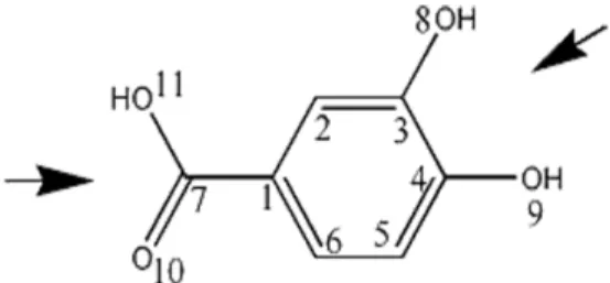 Fig. 1 − Representation and atomic numbering adopted for proto- proto-catechuic acid (IUPAC nomenclature)