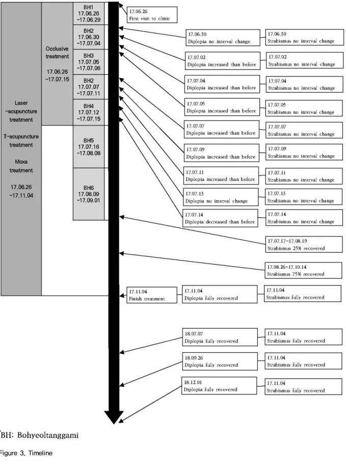 Figure 3. Timeline
