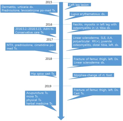 Fig. 1. Timeline of the patient