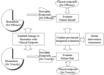 Fig. 2 − Relationship of biomarkers and surrogate endpoints and conceptual model for therapeutic intervention (BDWG)