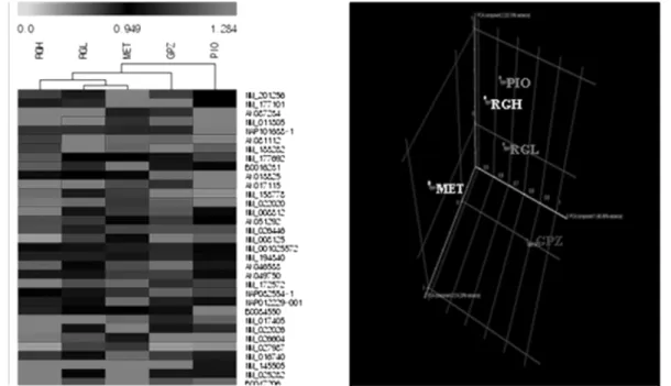 Fig. 5 − Hierarchical clustering and principal component analyses of gene expression data