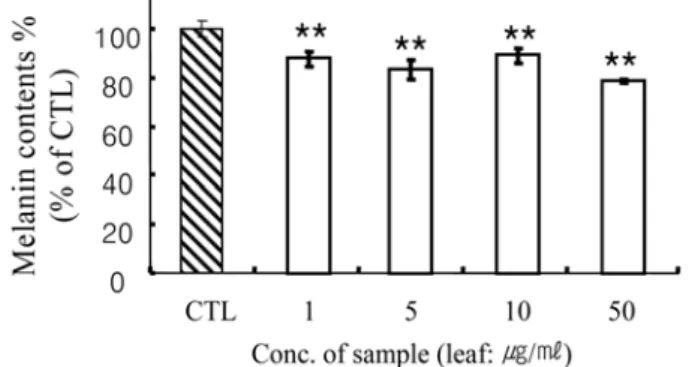 Fig. 7 − Antimelanogenesis effect of Lindera obtusiloba BL. leaf extract on B16 melanoma F10