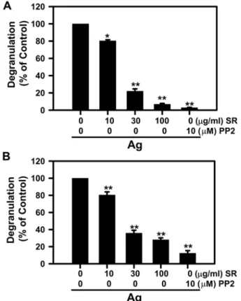 Fig. 1 − Effect of SR on antigen-induced degranulation in RBL-2H3 mast cells and BMMC