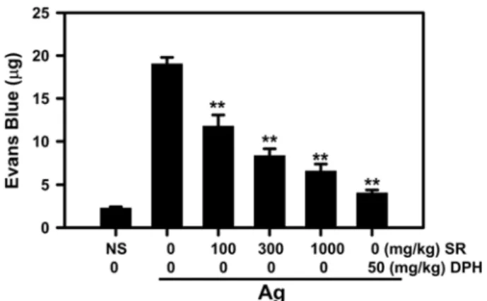 Fig. 4 − Effect of SR on passive cutaneous anaphylaxis in mice. An DNP-specific IgE (0.5 µ g) was intradermally injected into a mouse right ear