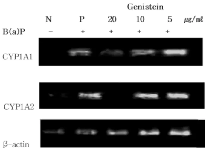 Fig. 6 − Time- and concentration-dependent effects of CKJ and genistein on catalytic activity of CYP1A1.