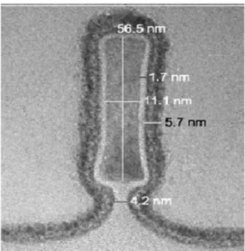 그림 2. Pi-gate  MuGFET  소자의  TEM  사진 Fig. 2. TEM  cross-section  of  Pi-gate  MuGFET.