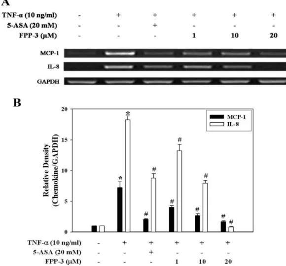 Fig. 3 − FPP-3 suppresses the TNF- α -induced MCP-1 and IL-8 mRNA expression. The cells were pretreated with various concentrations of FPP-3 for 1 h, followed by 10 ng/ml of TNF- α  for 3 h