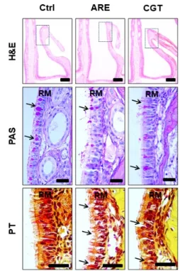 Fig. 2. The alleviation of respiratory epithelial damages  by Hataedock method