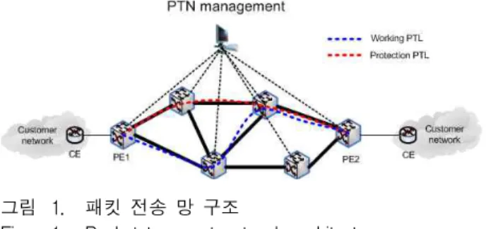 Fig. 1. Packet transport network architecture.
