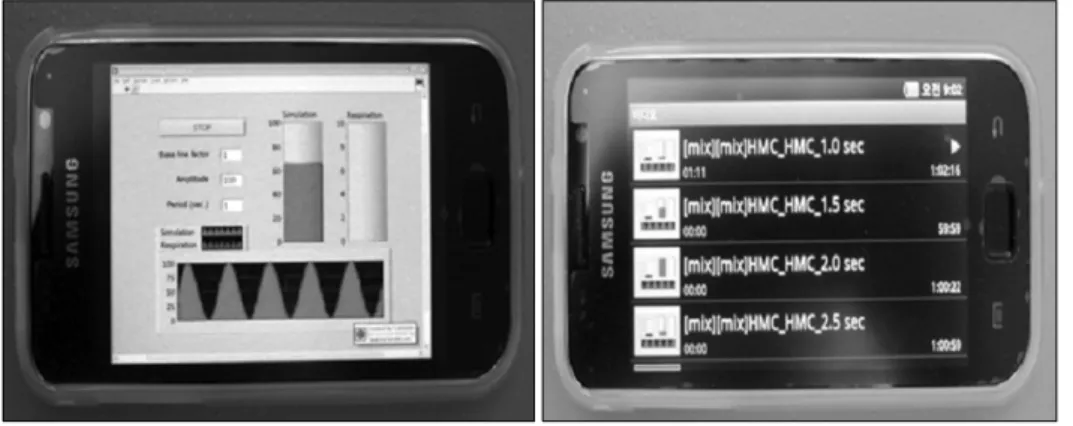 Fig. 1. Patient respiration training system.