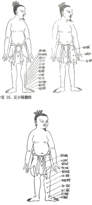 그림  33.  手厥陰心主脈 그림  34.  手少陽三焦經 그림  35.  足少陽膽經그림  36.  足厥陰肝經 2.  