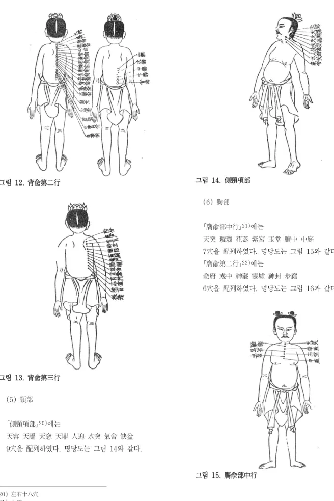 그림  12.  背兪第二行 그림  13.  背兪第三行 (5)  頸部 ｢側頸項部｣ 20) 에는 天容  天牖  天窓  天鼎  人迎  水突  氣舍  缺盆  9穴을  配列하였다