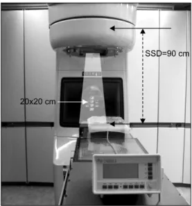 Fig. 3. Farmer-type chamber’s measurement view.