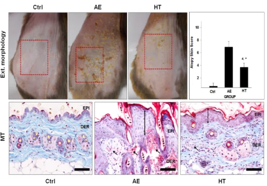 Fig. 1. The mitigative effect of HHT treatment for AD symptoms
