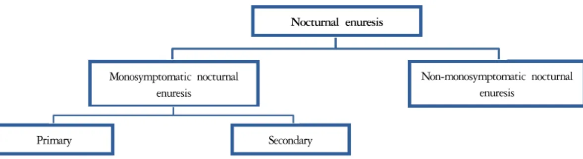Fig. 1. Classification of nocturnal enuresis