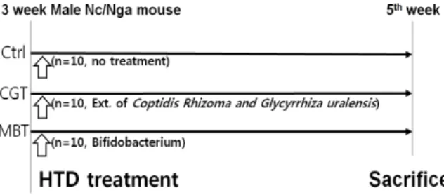 Fig. 1. Protocol of Hataedock treatment