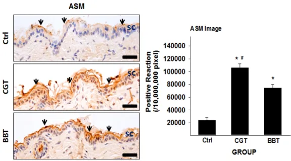 Fig. 5. Activation of acid sphingomyelinase (ASM) by CGE and Bifidobacterium