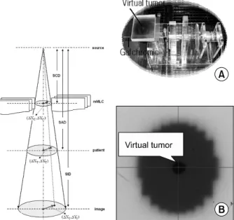 Fig. 4. The Calibration was performed to cover the dose range from 0 to 8 Gy, corresponding to the suitable dose range for  external beam therapy