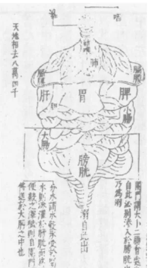 그림  28.  正內形圖 그림  29.  側內形圖 그림  30.  心小腸圖 (1)  心臟  본체 