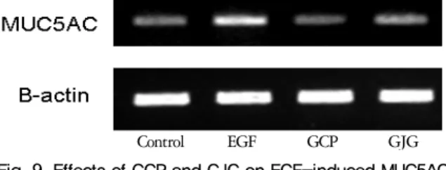 Fig. 10. Effects of GSM and GIJ on EGF-induced MUC5AC  gene expression in NCI-H292 cells