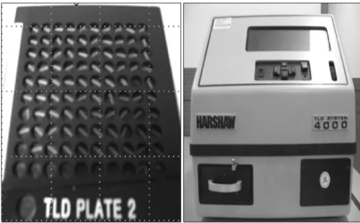 Fig. 3. TLD rods and TLD 3500  reader.