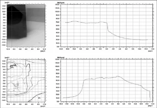 Fig. 8. The image of TLD dosimetry.