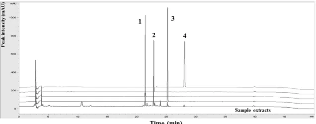 Fig. 2. Comparative chromatogram of isoflavones in standard solution and Douchi extract