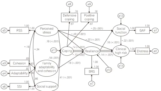 Fig.  3.  Pathway  of  modified  model.