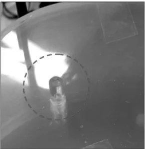 Fig. 7. Humanoid phantom was treated with SRS cone as pa- pa-tient.