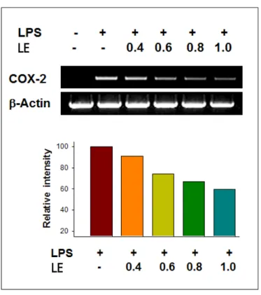 Fig. 2.  In Vitro  test for anti-inflammation effects of LE. 