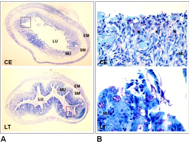 Fig. 4. The mitigative effects of DSS induced ulcerative colitis in mouse by LE. 