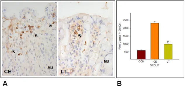 Fig. 5. The decrease effect of LE for HSP70 in mucosa. 