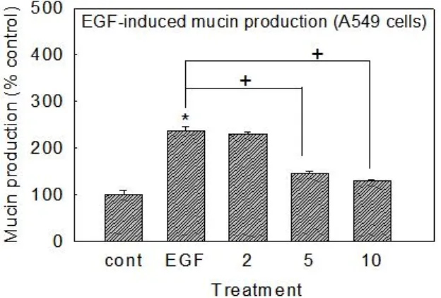 Fig. 5. Effect of GYJ on EGF-induced MUC5AC mucin production from A549 cells
