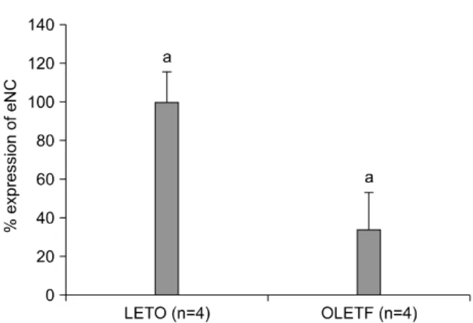 Table  2.  Body  weight  and  total  visceral  fat  mass  of  the  experimental  groups 