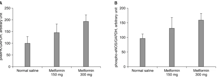 Fig.  5.  Quantitative  comparisons  of  phospho-AMP-activated  protein  kinase  (pAMPK)  (A)  and  phospho-endothelial  nitric  oxide  synthase  (eNOS)  (B)  expressions  by  Western  blot  of  penile  tissue  in  Otsuka  Long  Evans  Tokushima  Fatty  (O