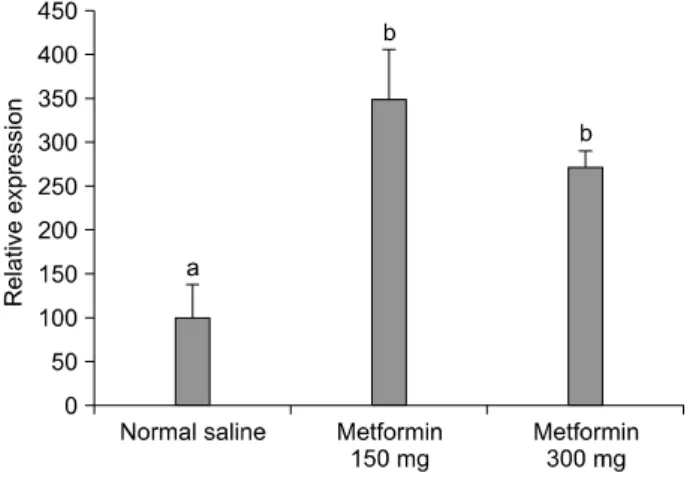 Fig.  6.  Changes  in  endothelial  nitric  oxide  synthase  (eNOS)  expression  by  real-time  polymerase  chain  reaction  (PCR)  in  penile  tissue